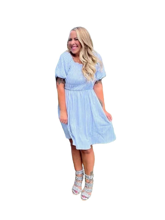 Alina - Blue White Vertical Stripe